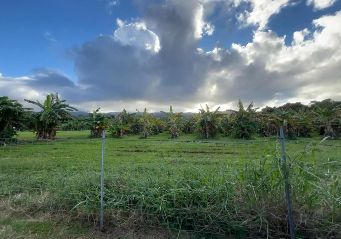 North Shore Glamping Camping Laie, Oahu, Hawaii Dış mekan fotoğraf